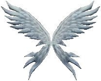 Wings of Soul